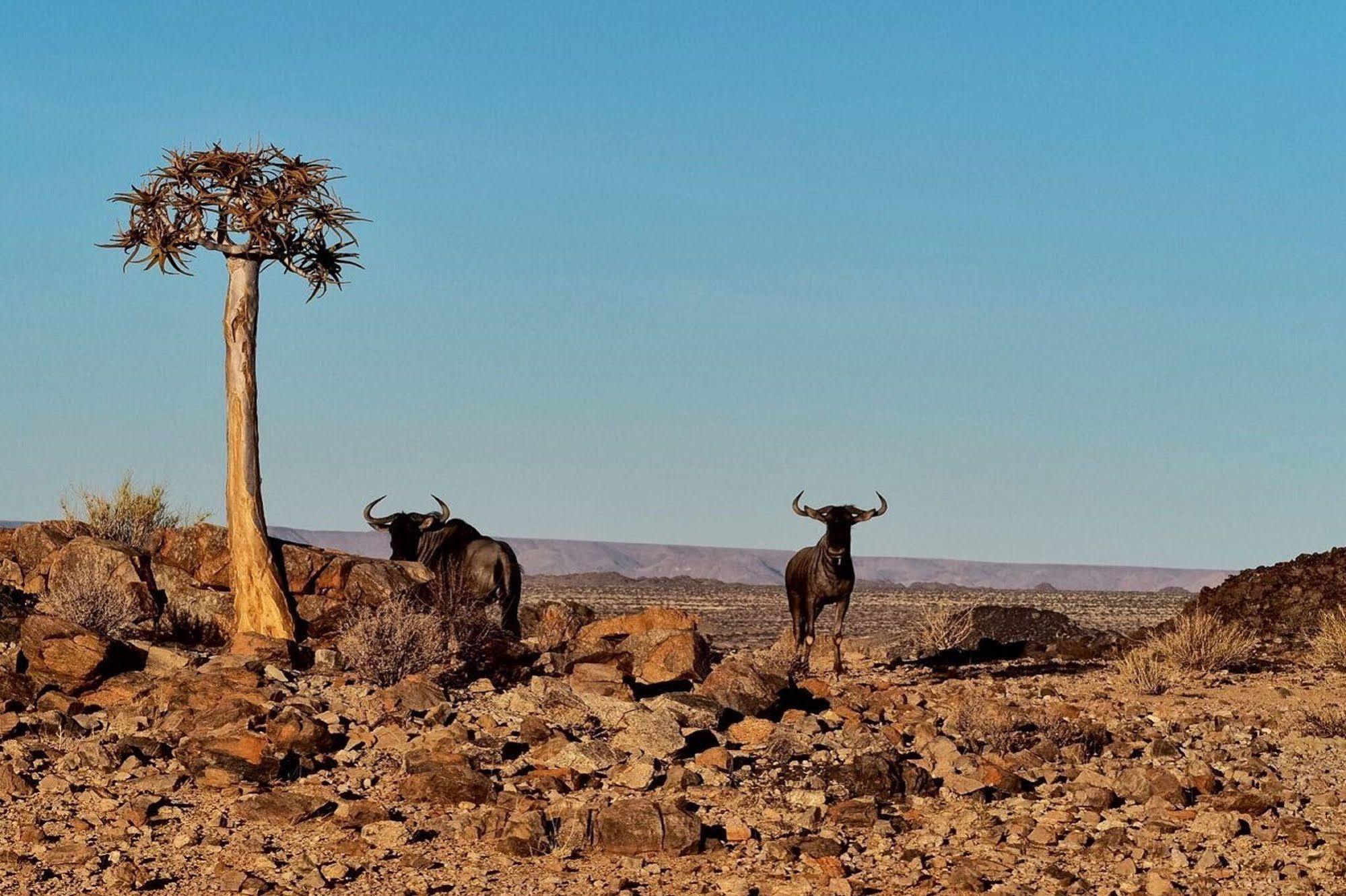Tutwa Desert Lodge Augrabies Экстерьер фото